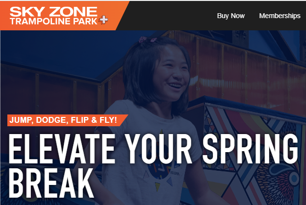 The Sky Zone Chain Offers Fun For All Ages