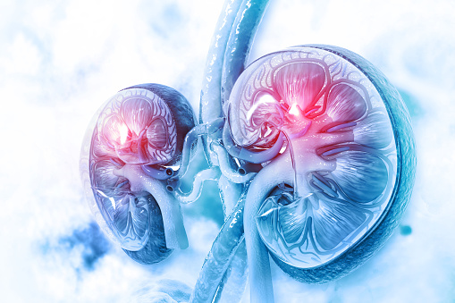What Are The Reasons For Your Kidney Pain